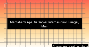 apa itu server internasional