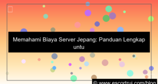 biaya server jepang