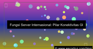 fungsi server internasional