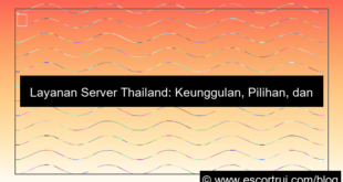 ilustrasi layanan server thailand