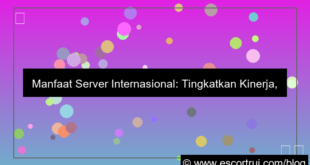 desain manfaat server internasional