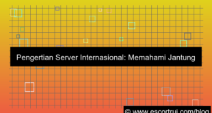 grafik pengertian server internasional