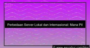 perbedaan server lokal dan internasional