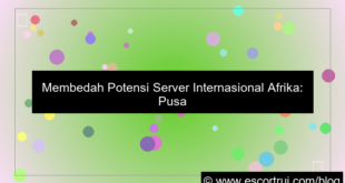 server internasional afrika