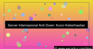 desain server internasional anti down