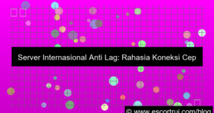 server internasional anti lag
