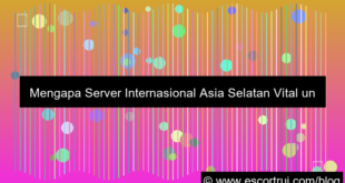 server internasional asia selatan