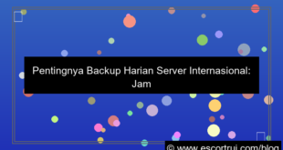 gambar server internasional backup harian