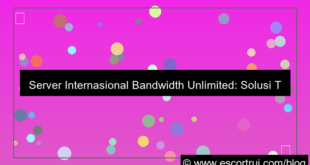 gambar server internasional bandwidth unlimited