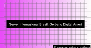 server internasional brasil
