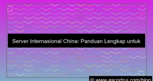 ilustrasi server internasional china