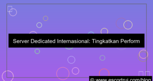 gambar server internasional dedicated
