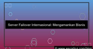 server internasional failover