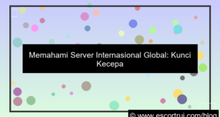 ilustrasi server internasional global