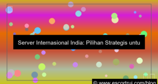 gambar server internasional india