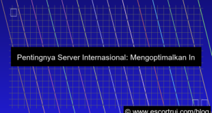 server internasional infrastruktur global