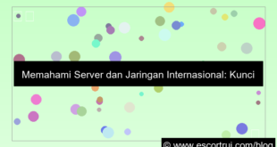 ilustrasi server internasional jaringan internasional