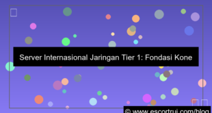 server internasional jaringan tier 1