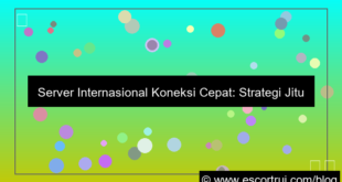 visual server internasional koneksi cepat