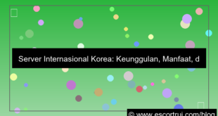 server internasional korea