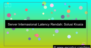 visual server internasional latency rendah