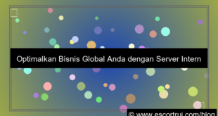 ilustrasi server internasional managed service