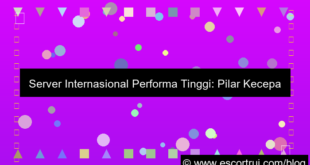 server internasional performa tinggi