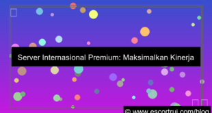 gambar server internasional premium