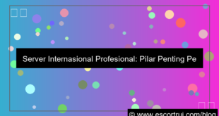 desain server internasional profesional