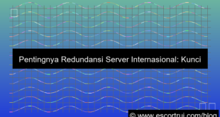 server internasional redundancy