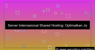 gambar server internasional shared hosting
