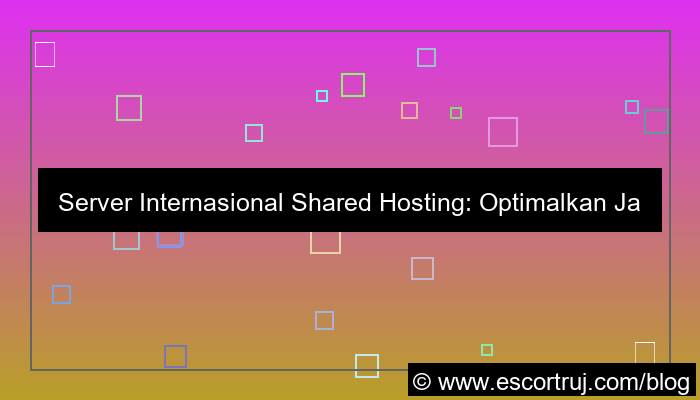 gambar server internasional shared hosting