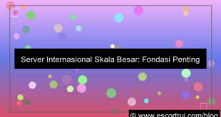 server internasional skala besar