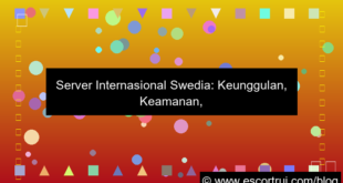 ilustrasi server internasional swedia