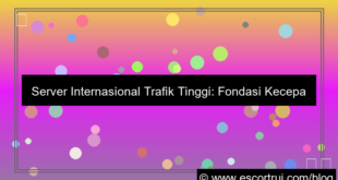 desain server internasional trafik tinggi