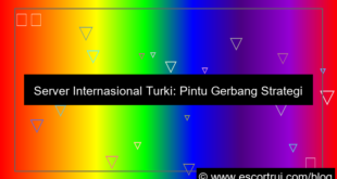 server internasional turki