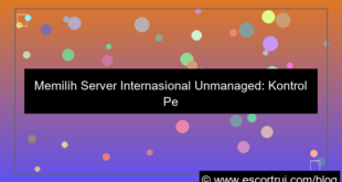 grafik server internasional unmanaged
