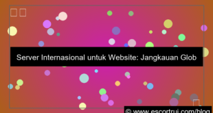 desain server internasional untuk website