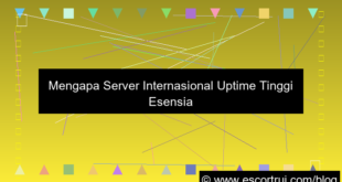 gambar server internasional uptime tinggi