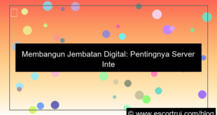 visual server internasional user global