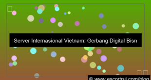 server internasional vietnam