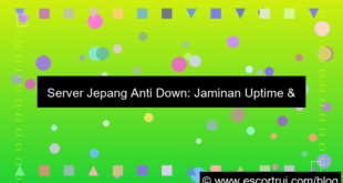 visual server jepang anti down