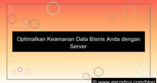 gambar server jepang backup harian