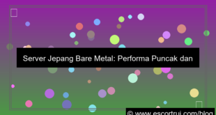 server jepang bare metal