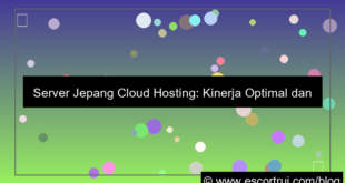 visual server jepang cloud hosting