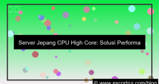 visual server jepang cpu high core