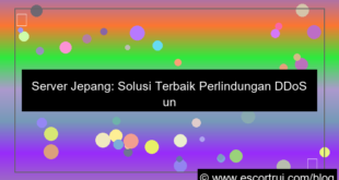 server jepang ddos protection