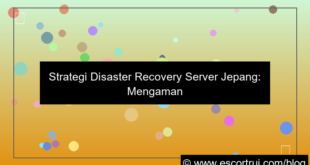 server jepang disaster recovery