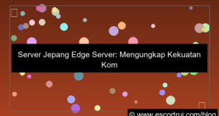 visual server jepang edge server