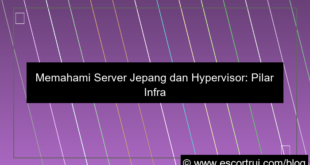 ilustrasi server jepang hypervisor